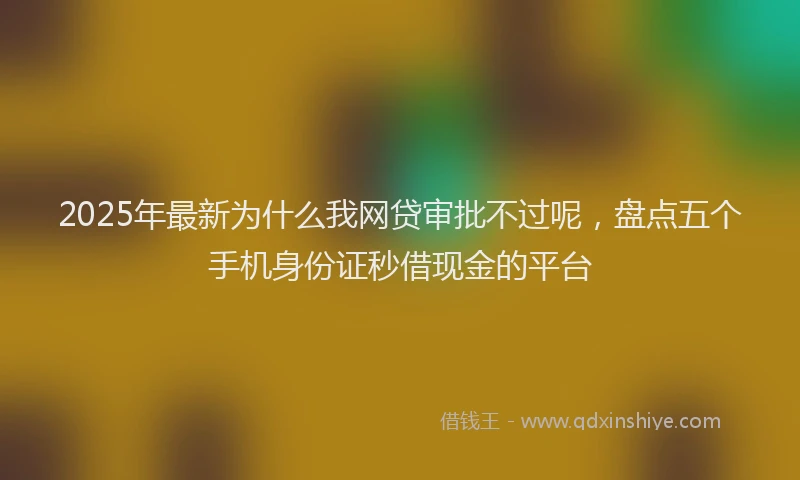 2025年最新为什么我网贷审批不过呢，盘点五个手机身份证秒借现金的平台