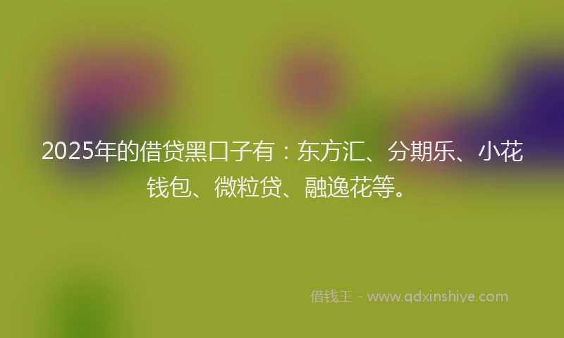 2025年的借贷黑口子有：东方汇、分期乐、小花钱包、微粒贷、融逸花等。