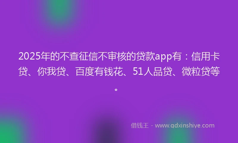 2025年的不查征信不审核的贷款app有：信用卡贷、你我贷、百度有钱花、51人品贷、微粒贷等。