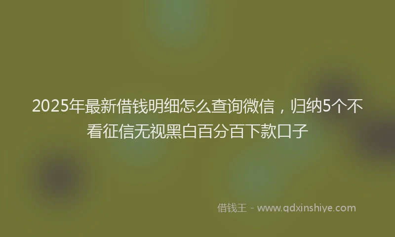 2025年最新借钱明细怎么查询微信，归纳5个不看征信无视黑白百分百下款口子