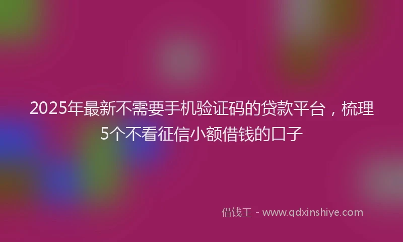 2025年最新不需要手机验证码的贷款平台，梳理5个不看征信小额借钱的口子