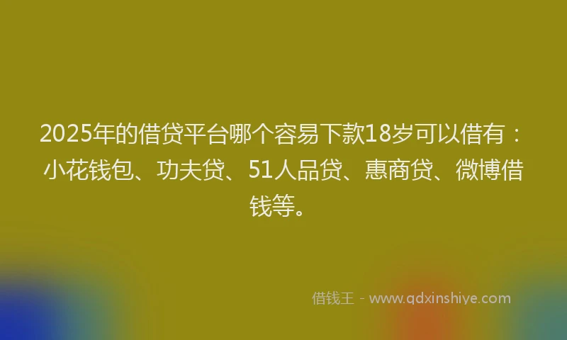 2025年的借贷平台哪个容易下款18岁可以借有：小花钱包、功夫贷、51人品贷、惠商贷、微博借钱等。