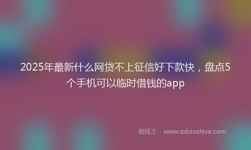 2025年最新什么网贷不上征信好下款快，盘点5个手机可以临时借钱的app