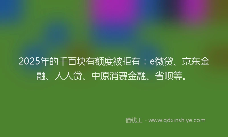 2025年的千百块有额度被拒有：e微贷、京东金融、人人贷、中原消费金融、省呗等。
