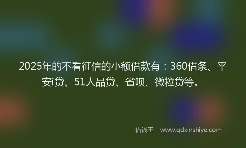 2025年的不看征信的小额借款有：360借条、平安i贷、51人品贷、省呗、微粒贷等。