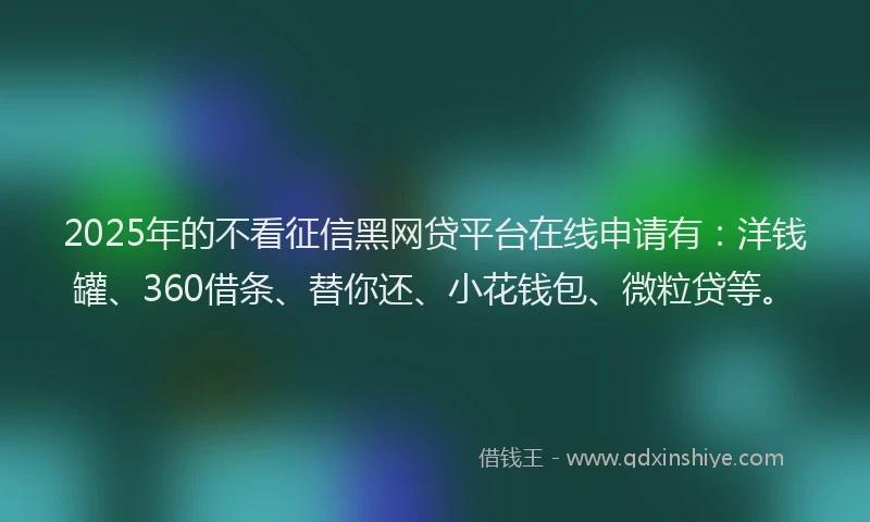 2025年的不看征信黑网贷平台在线申请有：洋钱罐、360借条、替你还、小花钱包、微粒贷等。