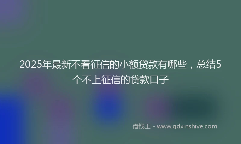 2025年最新不看征信的小额贷款有哪些，总结5个不上征信的贷款口子