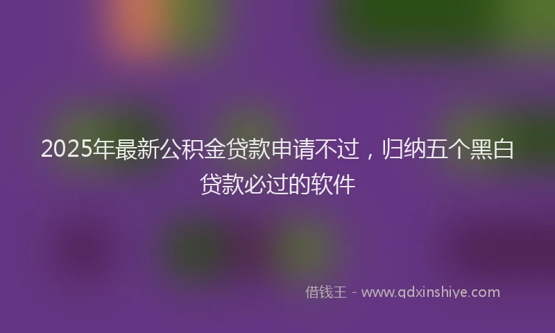 2025年最新公积金贷款申请不过，归纳五个黑白贷款必过的软件