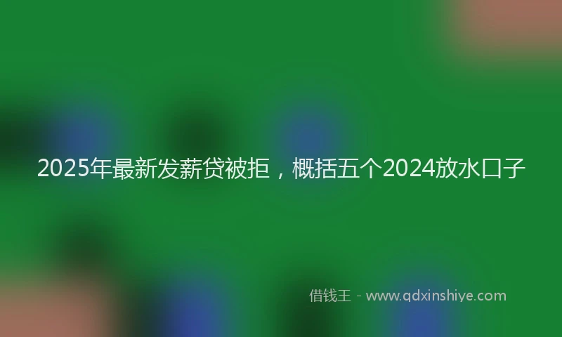 2025年最新发薪贷被拒，概括五个2024放水口子