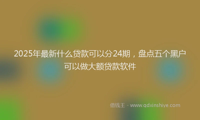 2025年最新什么贷款可以分24期，盘点五个黑户可以做大额贷款软件