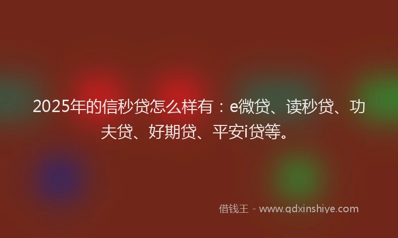 2025年的信秒贷怎么样有：e微贷、读秒贷、功夫贷、好期贷、平安i贷等。