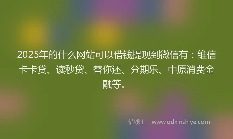 2025年的什么网站可以借钱提现到微信有：维信卡卡贷、读秒贷、替你还、分期乐、中原消费金融等。