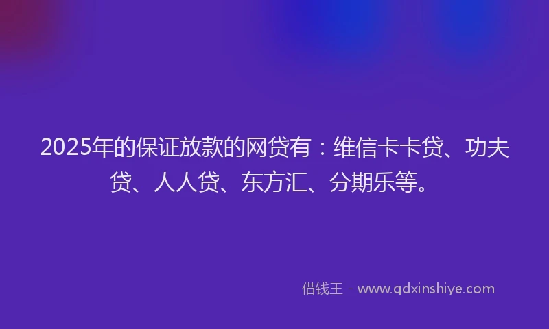 2025年的保证放款的网贷有：维信卡卡贷、功夫贷、人人贷、东方汇、分期乐等。