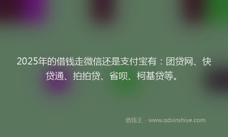 2025年的借钱走微信还是支付宝有：团贷网、快贷通、拍拍贷、省呗、柯基贷等。