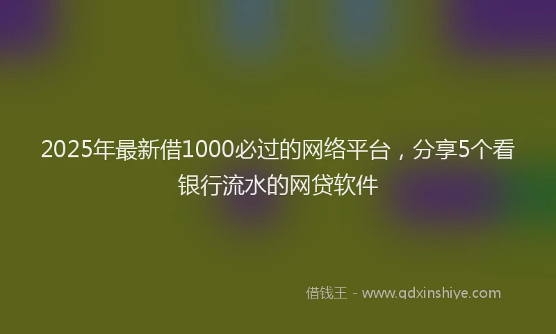 2025年最新借1000必过的网络平台，分享5个看银行流水的网贷软件