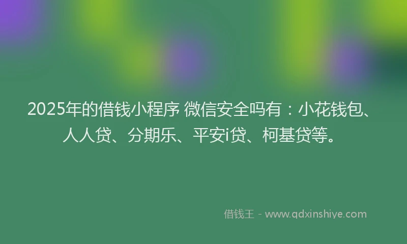 2025年的借钱小程序 微信安全吗有：小花钱包、人人贷、分期乐、平安i贷、柯基贷等。