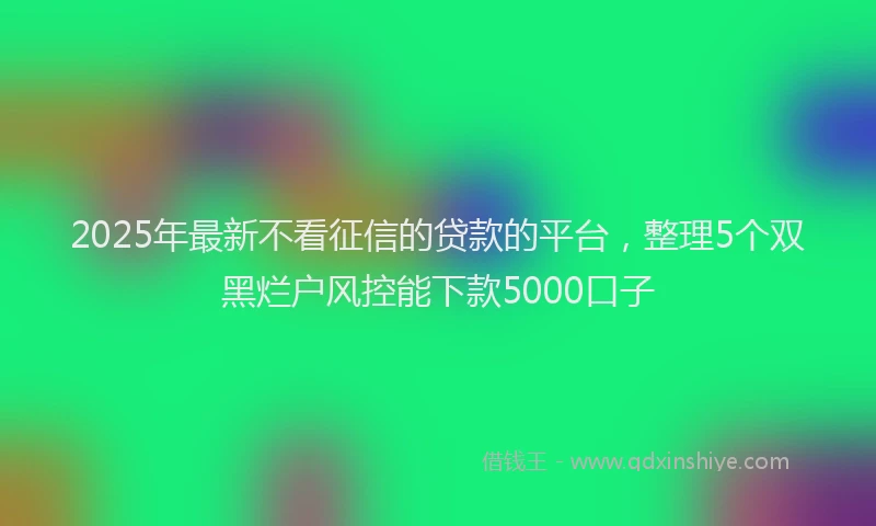 2025年最新不看征信的贷款的平台，整理5个双黑烂户风控能下款5000口子
