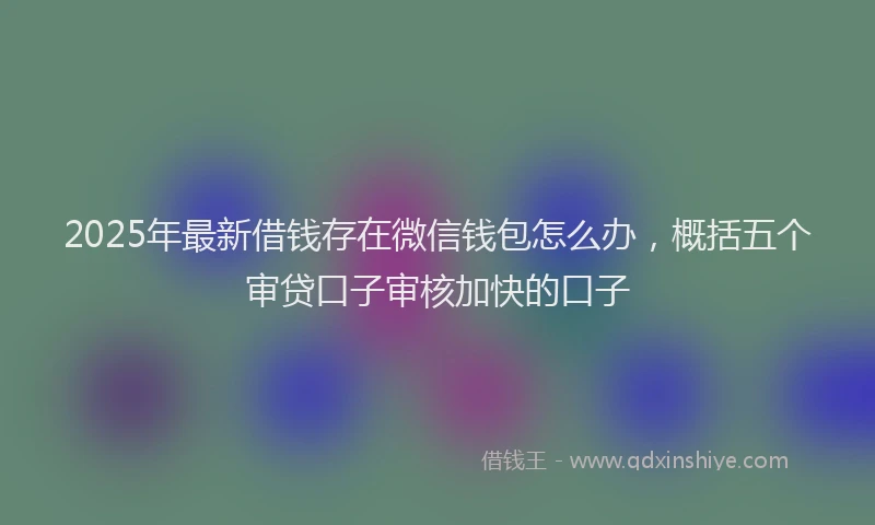 2025年最新借钱存在微信钱包怎么办，概括五个审贷口子审核加快的口子