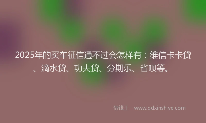 2025年的买车征信通不过会怎样有：维信卡卡贷、滴水贷、功夫贷、分期乐、省呗等。