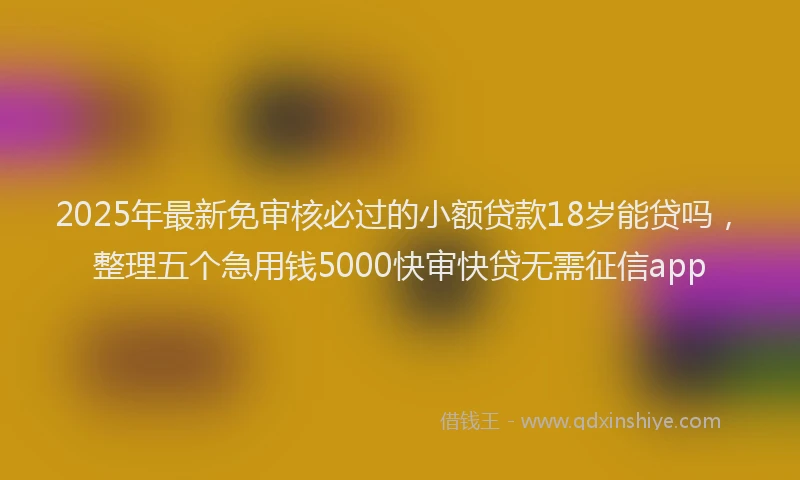 2025年最新免审核必过的小额贷款18岁能贷吗，整理五个急用钱5000快审快贷无需征信app