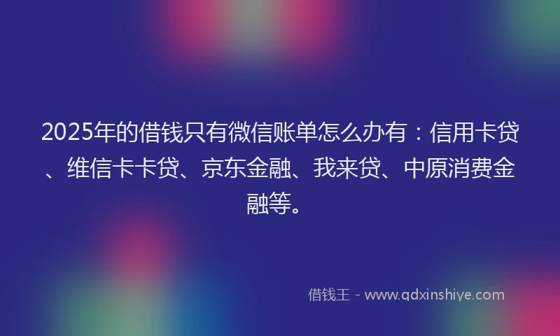 2025年的借钱只有微信账单怎么办有：信用卡贷、维信卡卡贷、京东金融、我来贷、中原消费金融等。