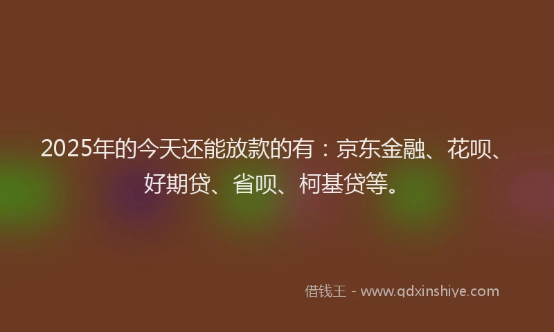 2025年的今天还能放款的有：京东金融、花呗、好期贷、省呗、柯基贷等。