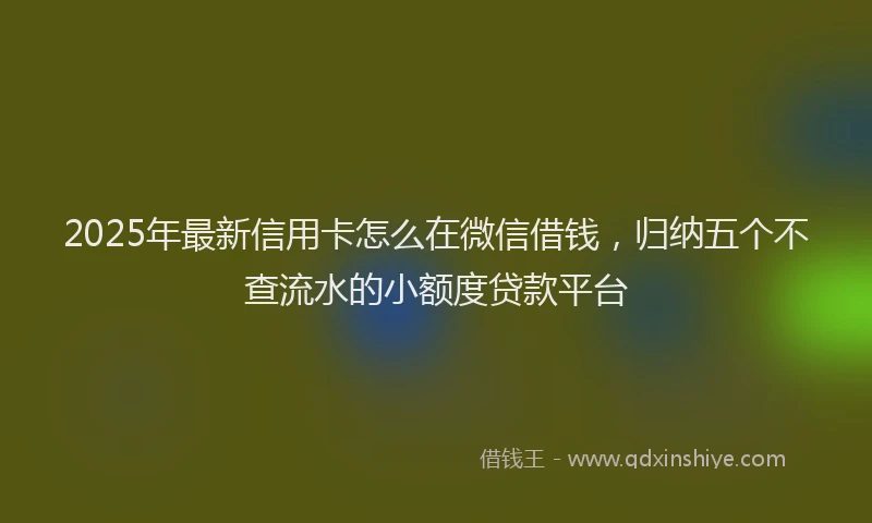 2025年最新信用卡怎么在微信借钱，归纳五个不查流水的小额度贷款平台