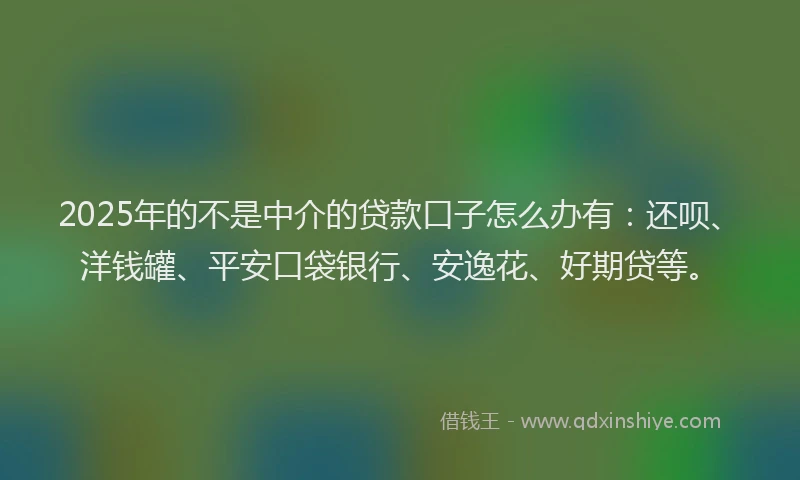 2025年的不是中介的贷款口子怎么办有：还呗、洋钱罐、平安口袋银行、安逸花、好期贷等。