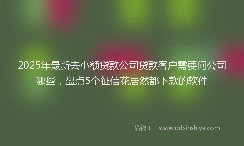 2025年最新去小额贷款公司贷款客户需要问公司哪些，盘点5个征信花居然都下款的软件