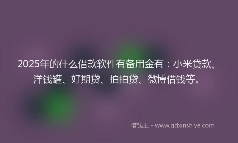 2025年的什么借款软件有备用金有：小米贷款、洋钱罐、好期贷、拍拍贷、微博借钱等。