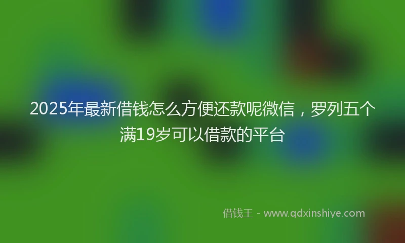 2025年最新借钱怎么方便还款呢微信，罗列五个满19岁可以借款的平台