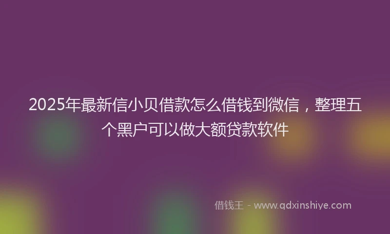 2025年最新信小贝借款怎么借钱到微信，整理五个黑户可以做大额贷款软件