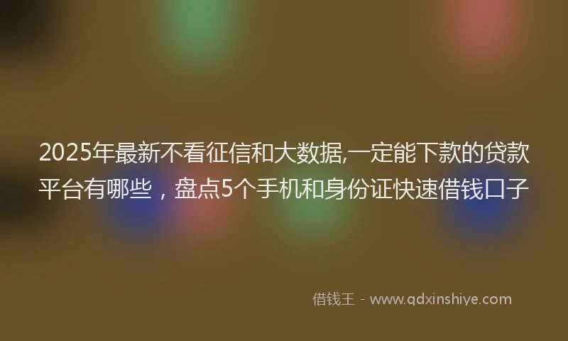 2025年最新不看征信和大数据,一定能下款的贷款平台有哪些，盘点5个手机和身份证快速借钱口子