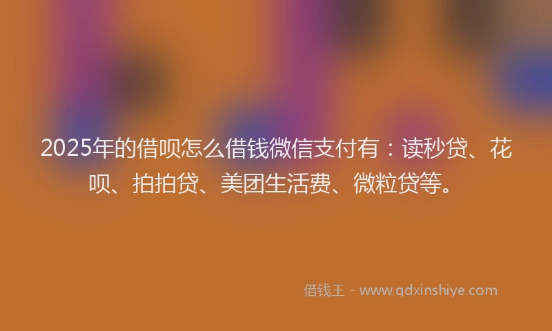 2025年的借呗怎么借钱微信支付有：读秒贷、花呗、拍拍贷、美团生活费、微粒贷等。