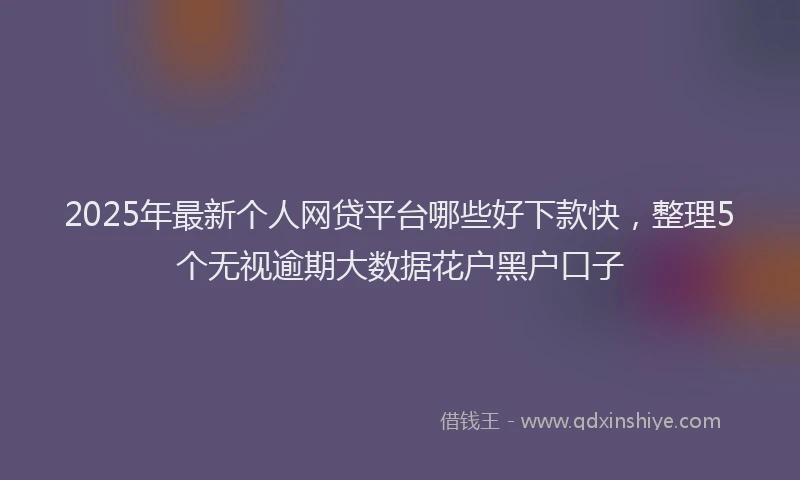 2025年最新个人网贷平台哪些好下款快，整理5个无视逾期大数据花户黑户口子
