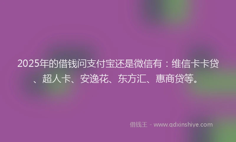 2025年的借钱问支付宝还是微信有：维信卡卡贷、超人卡、安逸花、东方汇、惠商贷等。