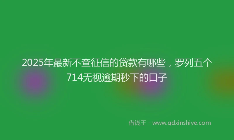2025年最新不查征信的贷款有哪些，罗列五个714无视逾期秒下的口子