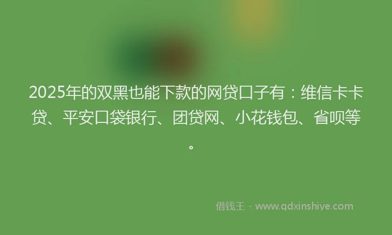 2025年的双黑也能下款的网贷口子有：维信卡卡贷、平安口袋银行、团贷网、小花钱包、省呗等。