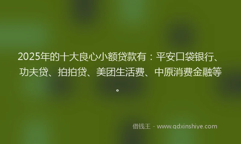 2025年的十大良心小额贷款有：平安口袋银行、功夫贷、拍拍贷、美团生活费、中原消费金融等。