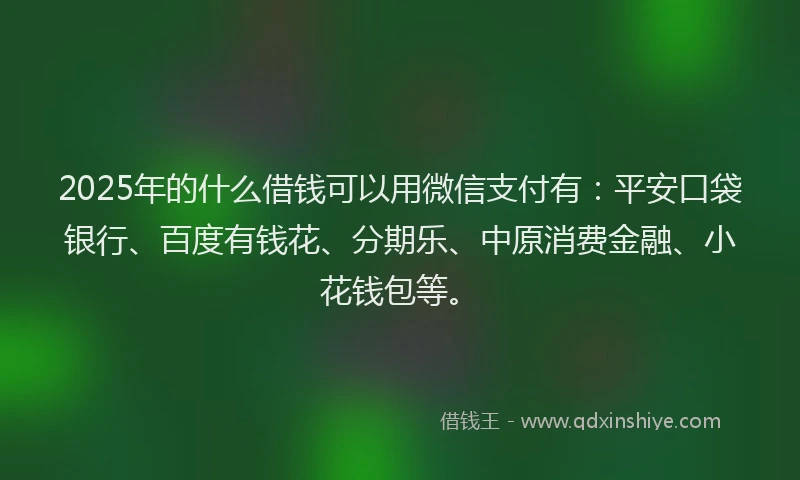 2025年的什么借钱可以用微信支付有：平安口袋银行、百度有钱花、分期乐、中原消费金融、小花钱包等。