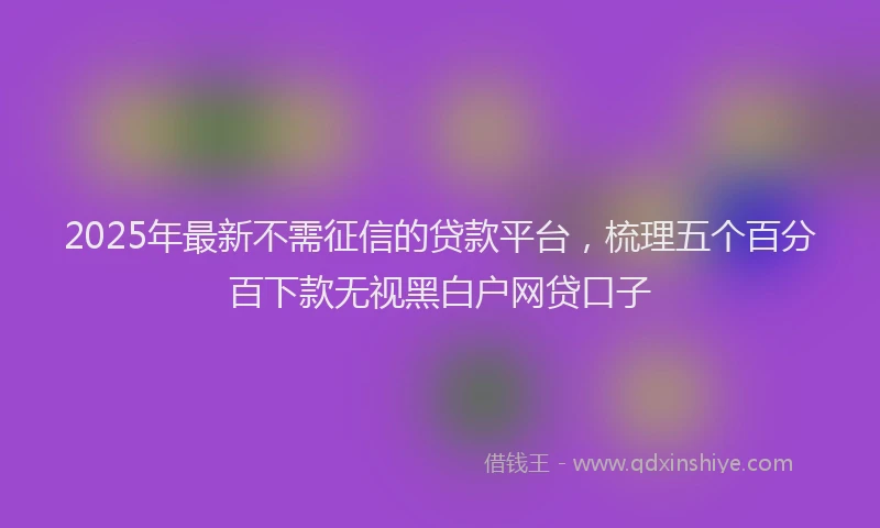 2025年最新不需征信的贷款平台，梳理五个百分百下款无视黑白户网贷口子
