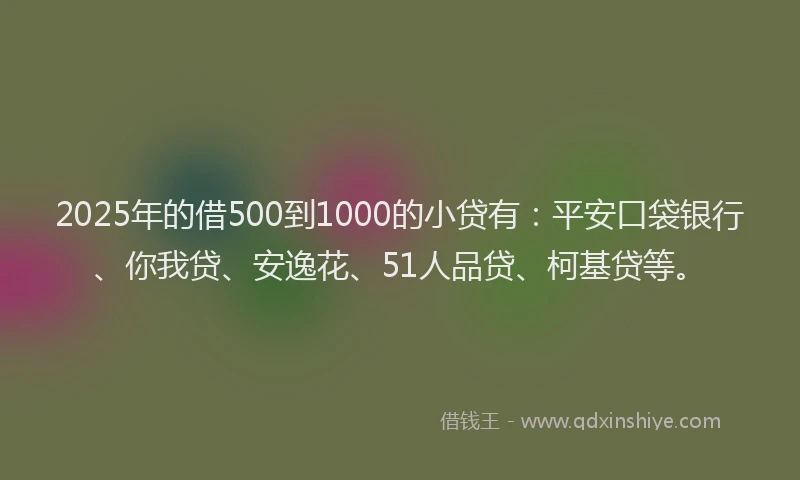 2025年的借500到1000的小贷有：平安口袋银行、你我贷、安逸花、51人品贷、柯基贷等。