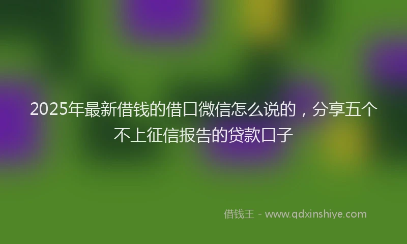 2025年最新借钱的借口微信怎么说的，分享五个不上征信报告的贷款口子