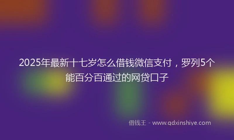 2025年最新十七岁怎么借钱微信支付，罗列5个能百分百通过的网贷口子