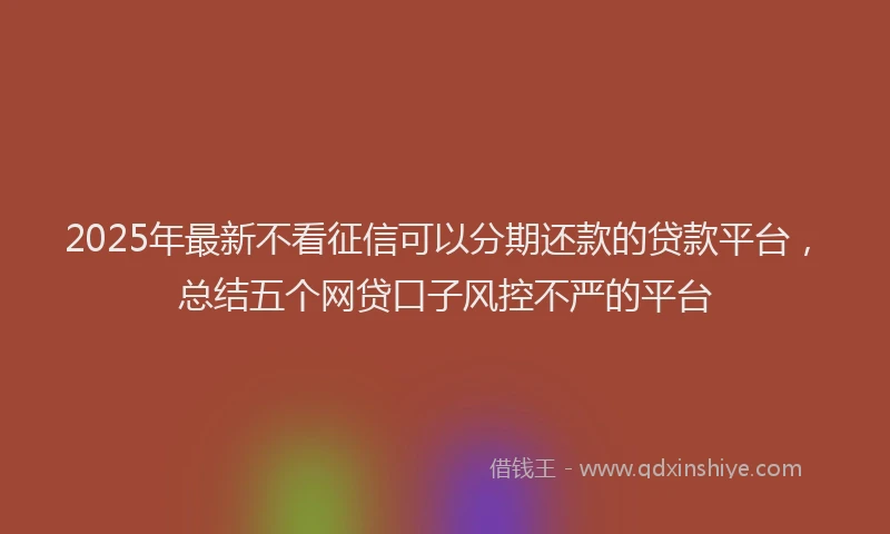 2025年最新不看征信可以分期还款的贷款平台，总结五个网贷口子风控不严的平台