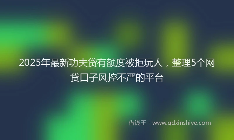 2025年最新功夫贷有额度被拒玩人，整理5个网贷口子风控不严的平台