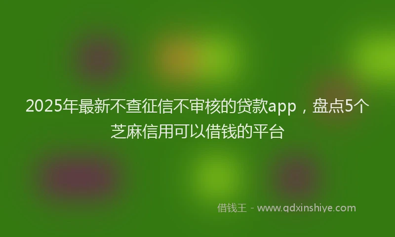 2025年最新不查征信不审核的贷款app，盘点5个芝麻信用可以借钱的平台