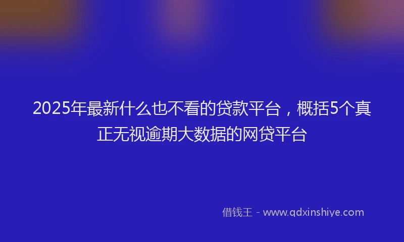 2025年最新什么也不看的贷款平台，概括5个真正无视逾期大数据的网贷平台
