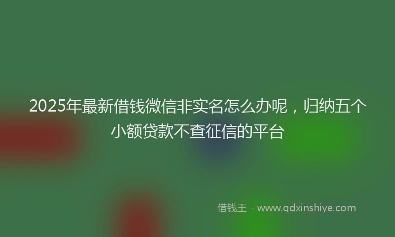 2025年最新借钱微信非实名怎么办呢，归纳五个小额贷款不查征信的平台