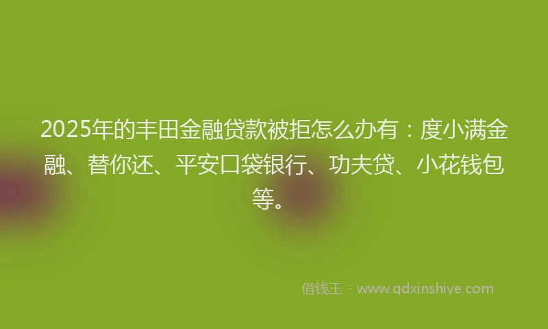 2025年的丰田金融贷款被拒怎么办有：度小满金融、替你还、平安口袋银行、功夫贷、小花钱包等。